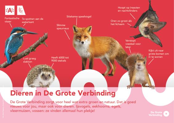 Poster vos
